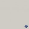 Диск тормозной передний Renault Kangoo II, Laguna I, Megane II, Scenic I, Mercedes-benz citan (арт. BS5631)
